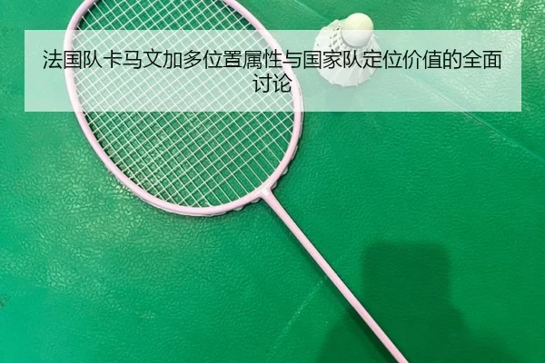 法国队卡马文加多位置属性与国家队定位价值的全面讨论